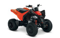 Can-Am DS 250