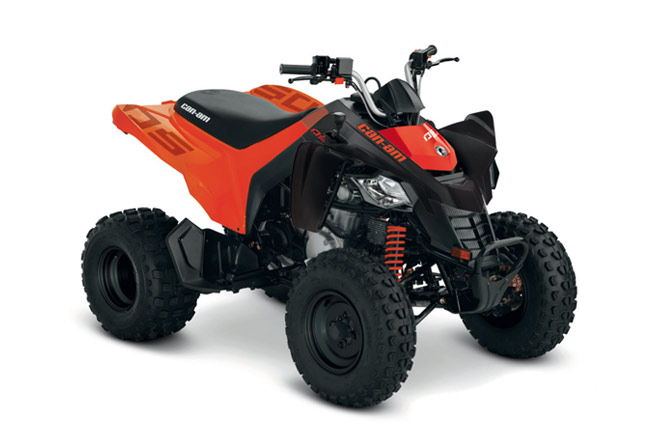Can-Am DS 250