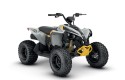 Can-Am Renegade 110 EFI