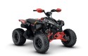 Can-Am Renegade 110 EFI XXC